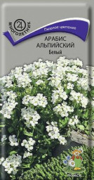 Арабис альпийский Белый 0,1гр Поиск