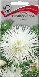 Астра Гигантские лучи Белая 0,3гр Поиск