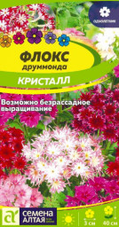 Флокс Кристалл Друммонда 0,2гр Семена Алтая