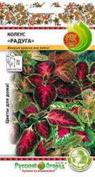 Колеус Радуга смесь 0,05гр НК