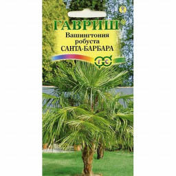 КОМ Вашингтония мощная Санта-Барбара Гавриш