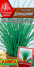 Лук шнитт Домашний 0,5гр Аэлита
