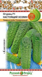 Огурец Настоящий хозяин 10шт НК