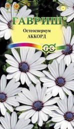 Остеоспермум Аккорд белый 0,1гр Гавриш