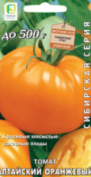 Томат Алтайский оранжевый ПЦо