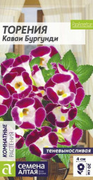 Торения Каваи Бургунди Семена Алтая