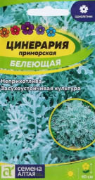 Цинерария Белеющая 0,1гр Семена Алтая