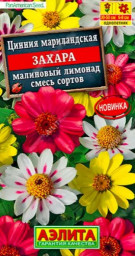 Цинния Захара малиновый лимонад смесь сортов 5шт Аэлита