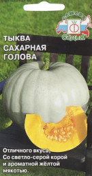 Тыква Сахарная голова Седек