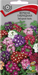 Вербена гибридная Звездная пыль 0,2гр Поиск